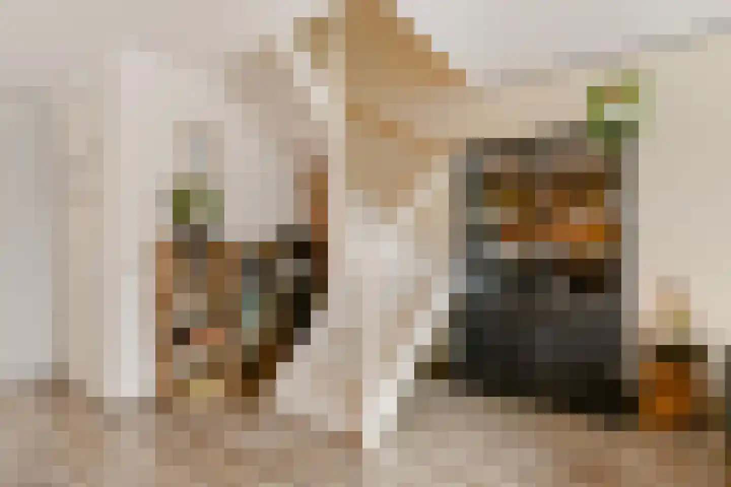 Bundelzwam 63 Vleuten thumbnail 13