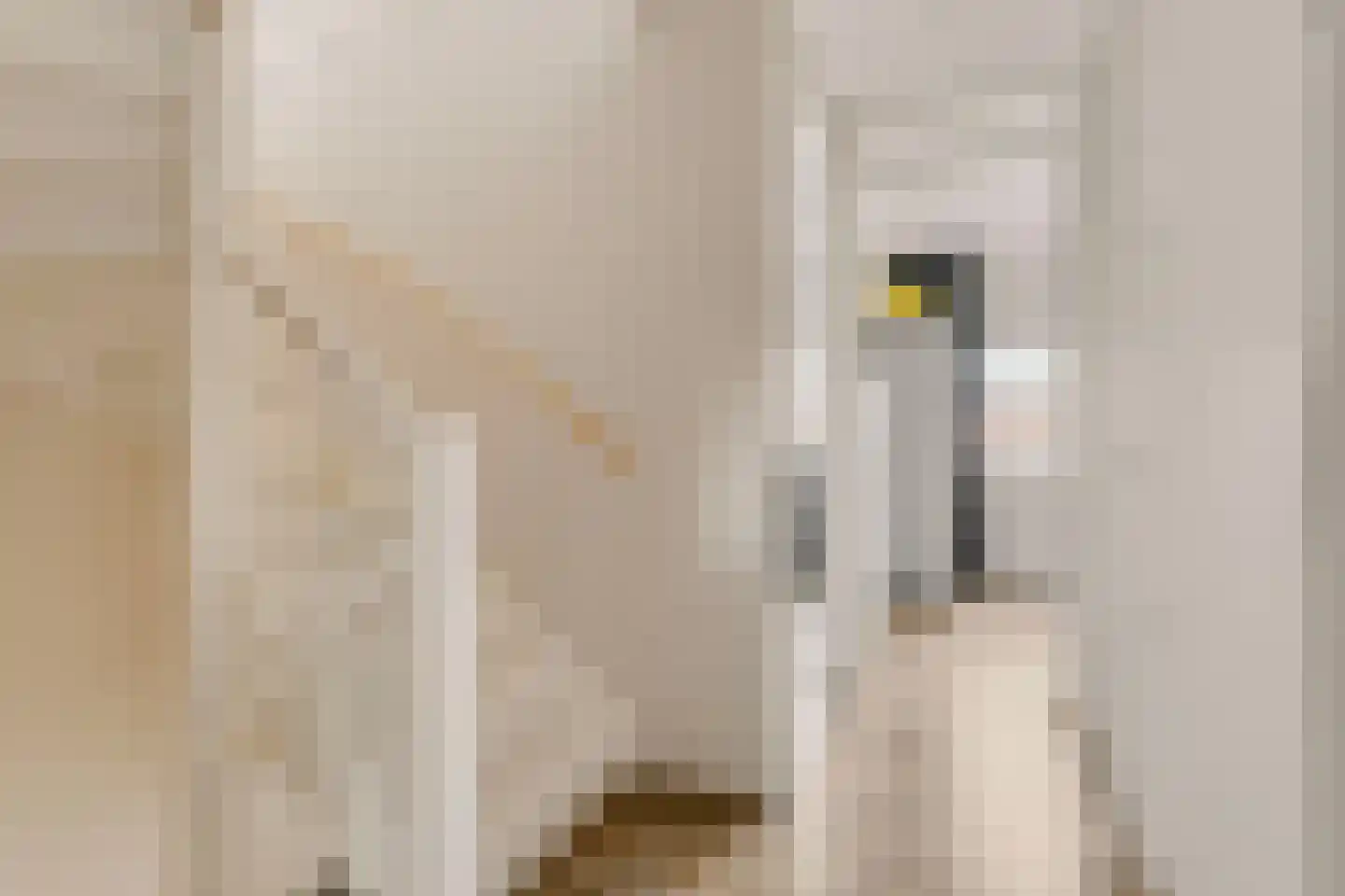 Bundelzwam 63 Vleuten thumbnail 14
