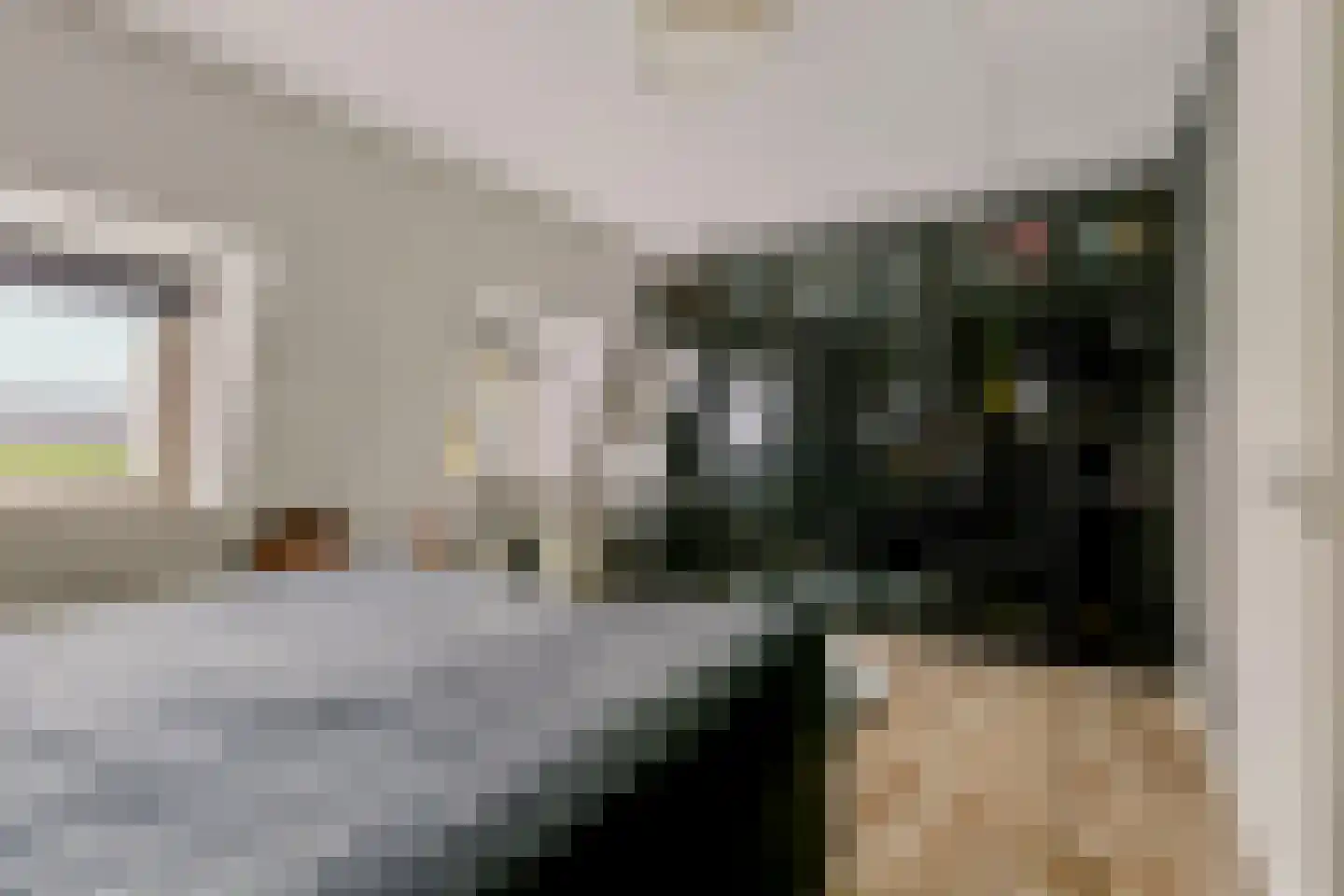 Bundelzwam 63 Vleuten thumbnail 17