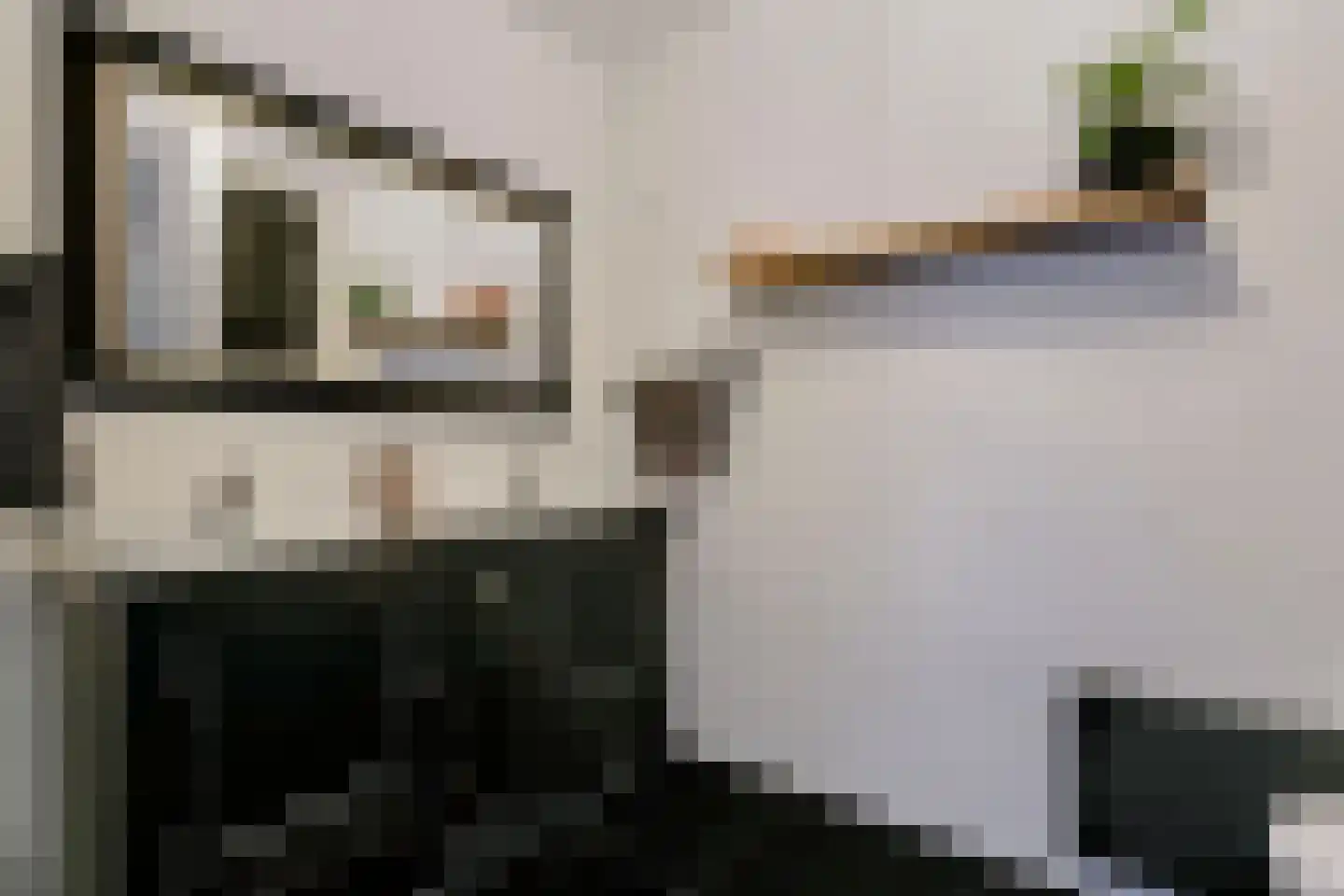 Bundelzwam 63 Vleuten thumbnail 23