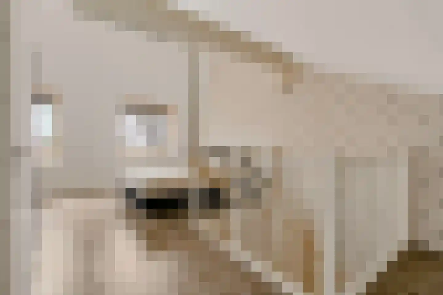 Bundelzwam 63 Vleuten thumbnail 26