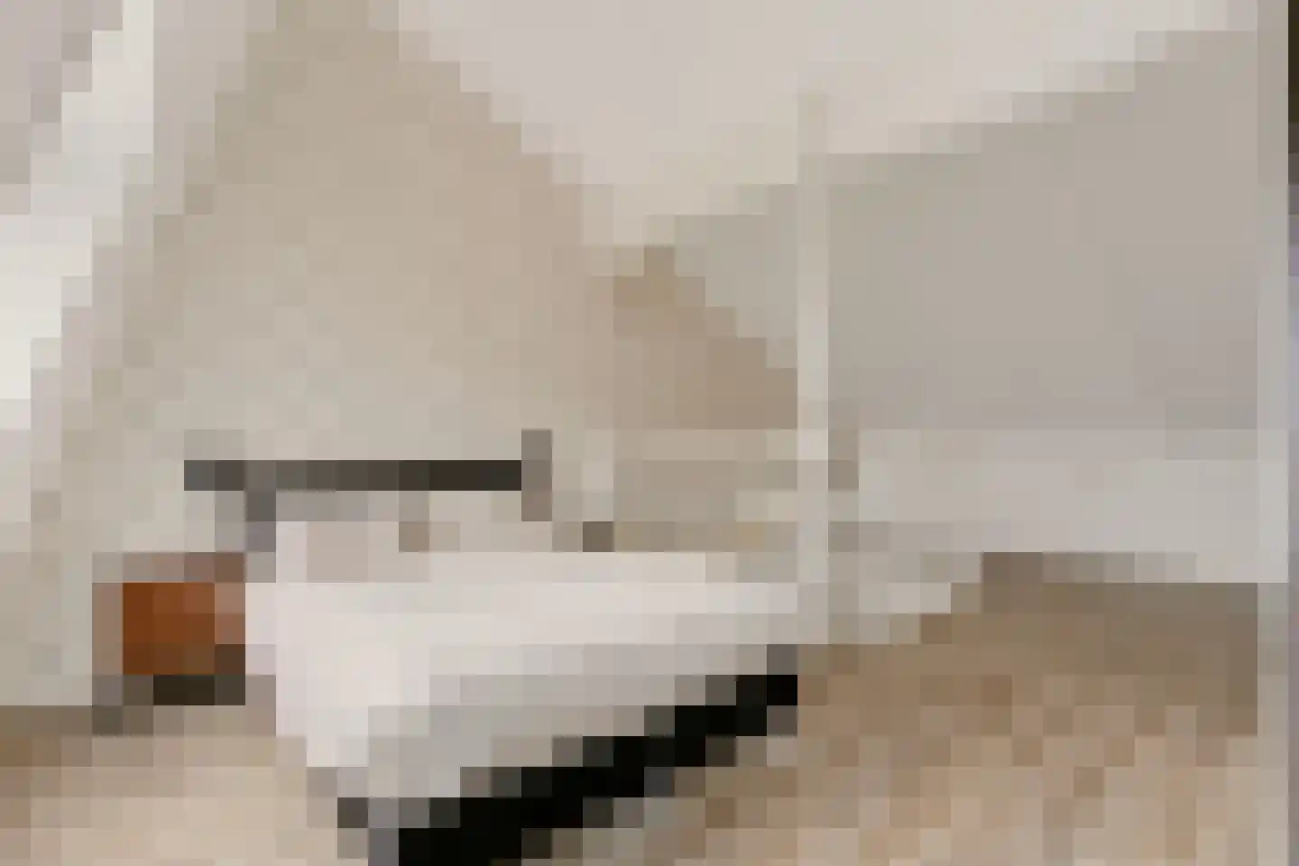 Bundelzwam 63 Vleuten thumbnail 30
