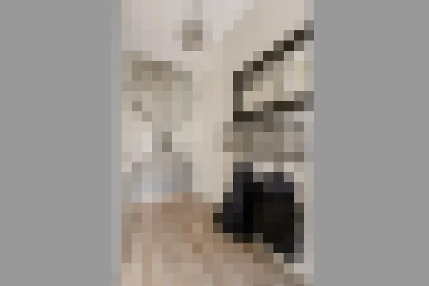 Bundelzwam 63 Vleuten thumbnail 32