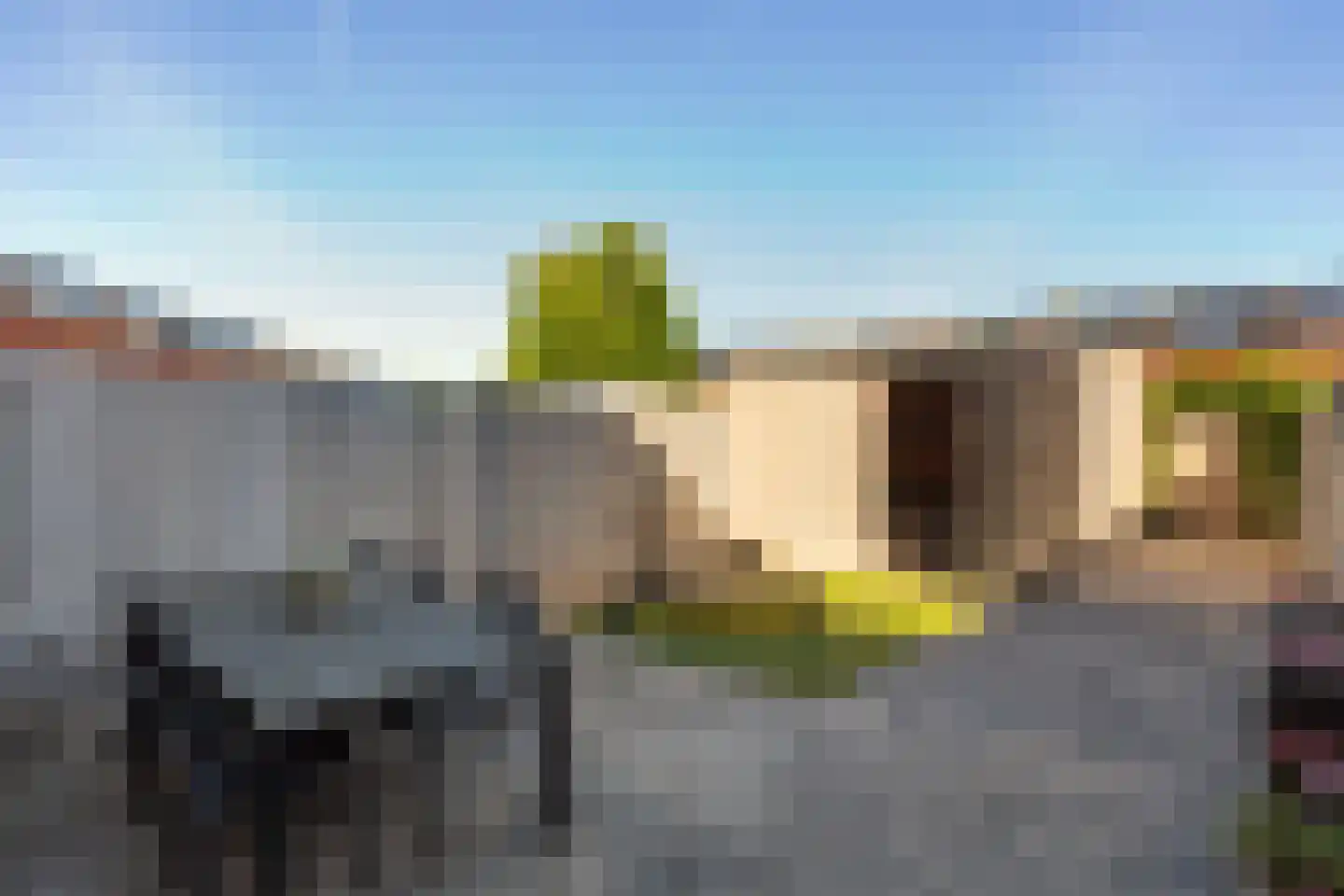 Bundelzwam 63 Vleuten thumbnail 35