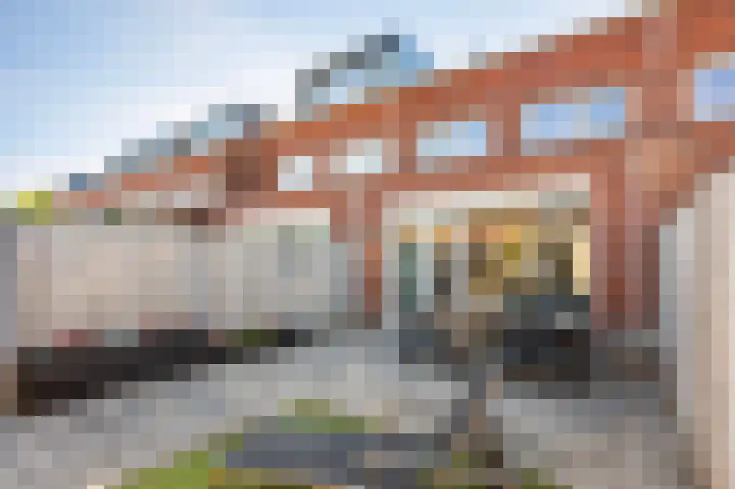 Bundelzwam 63 Vleuten thumbnail 38