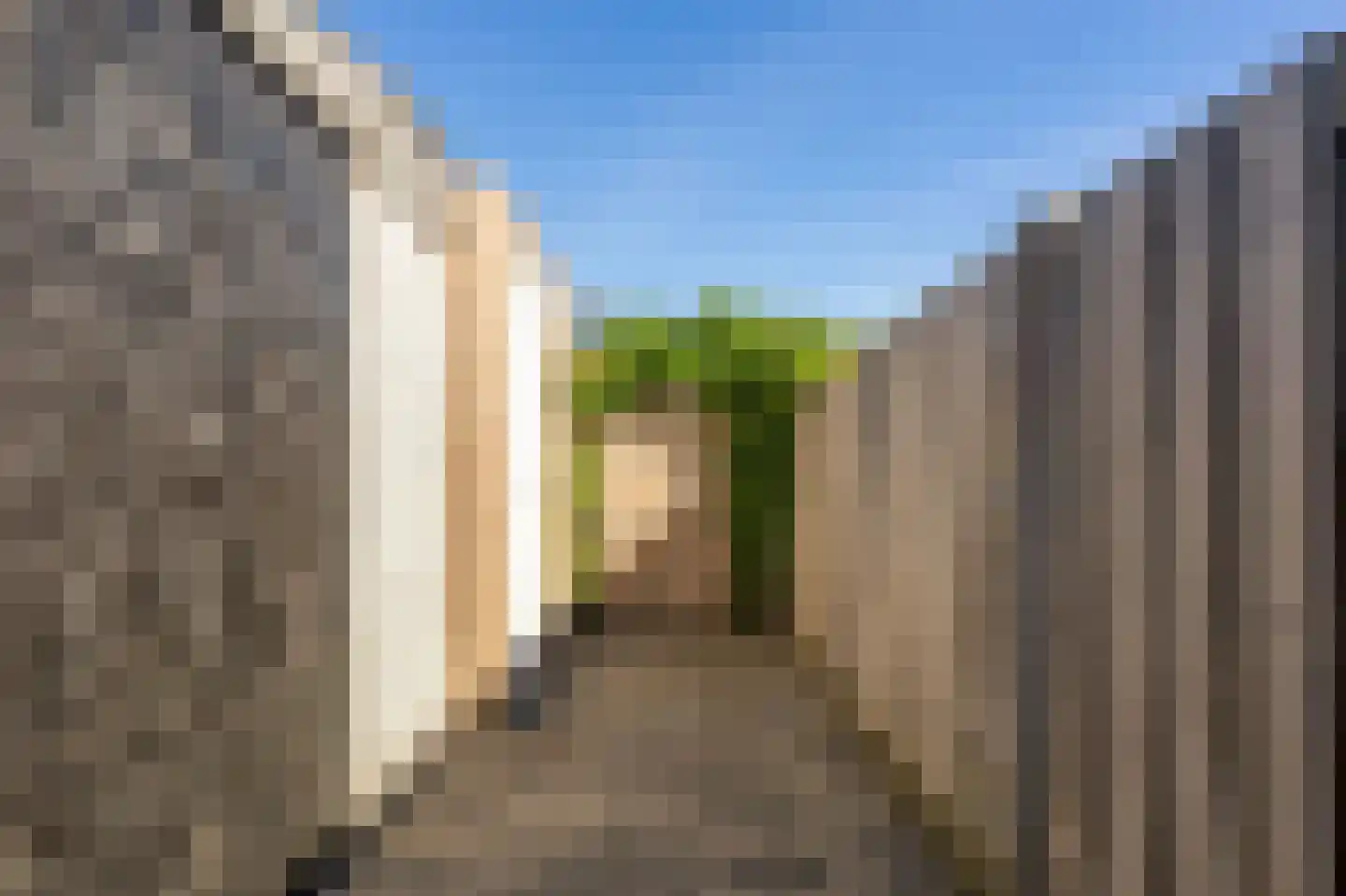 Bundelzwam 63 Vleuten thumbnail 40