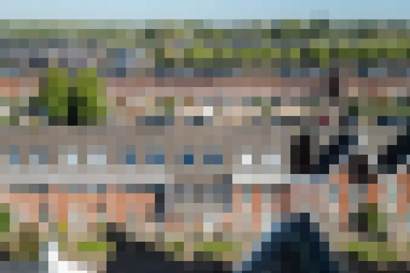 Bundelzwam 63 Vleuten thumbnail 41