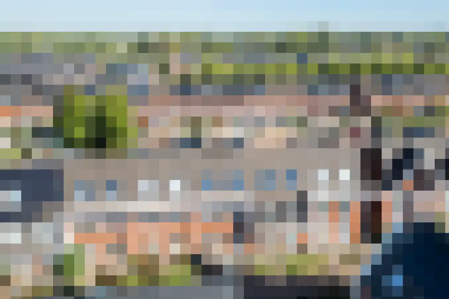 Bundelzwam 63 Vleuten thumbnail 43