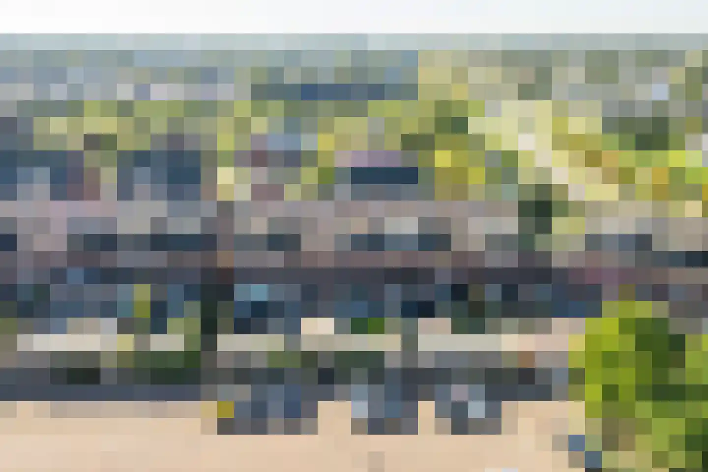 Bundelzwam 63 Vleuten thumbnail 45