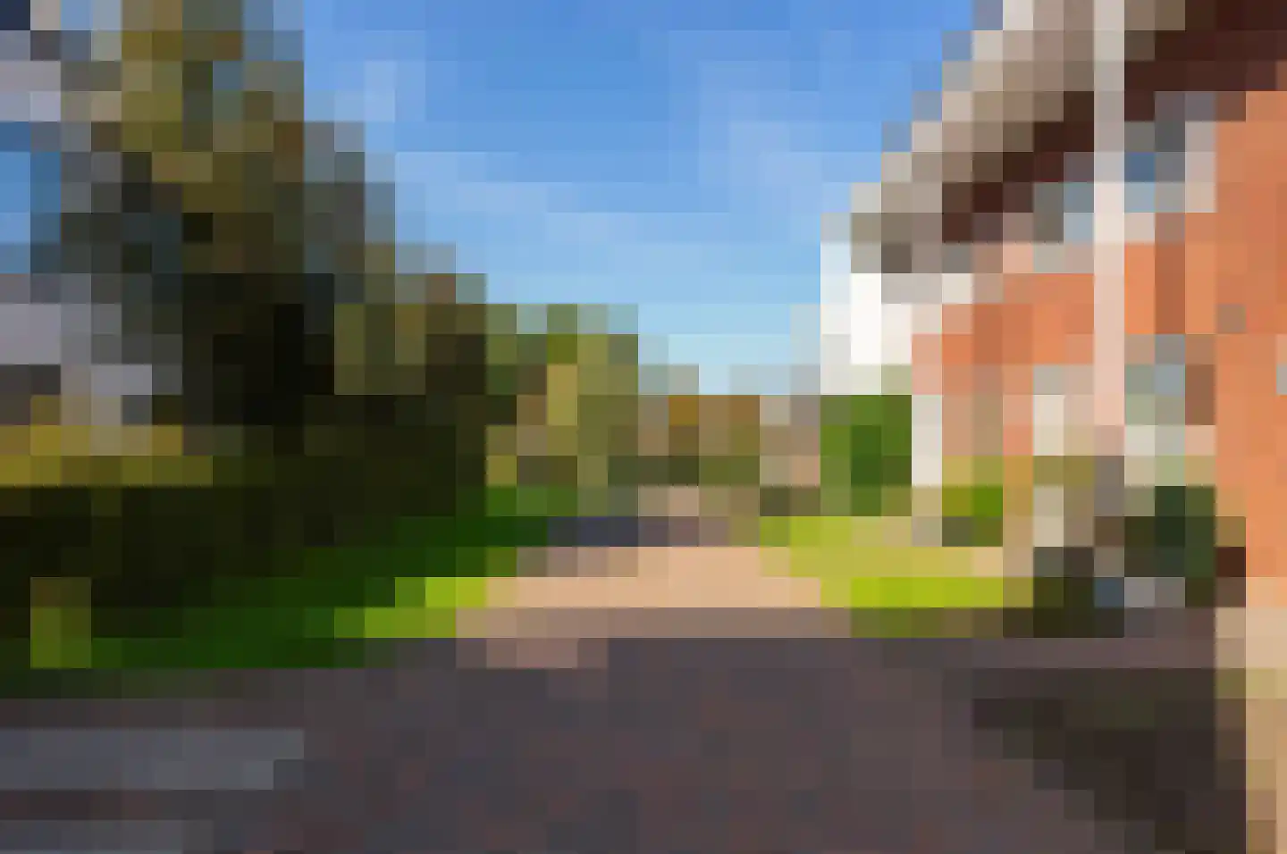 Bundelzwam 63 Vleuten thumbnail 49