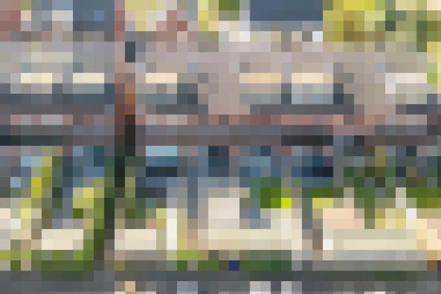 Bundelzwam 63 Vleuten thumbnail 50