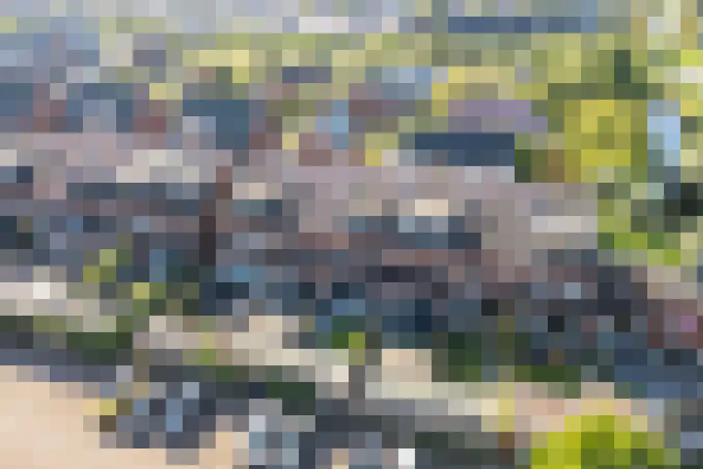 Bundelzwam 63 Vleuten thumbnail 51