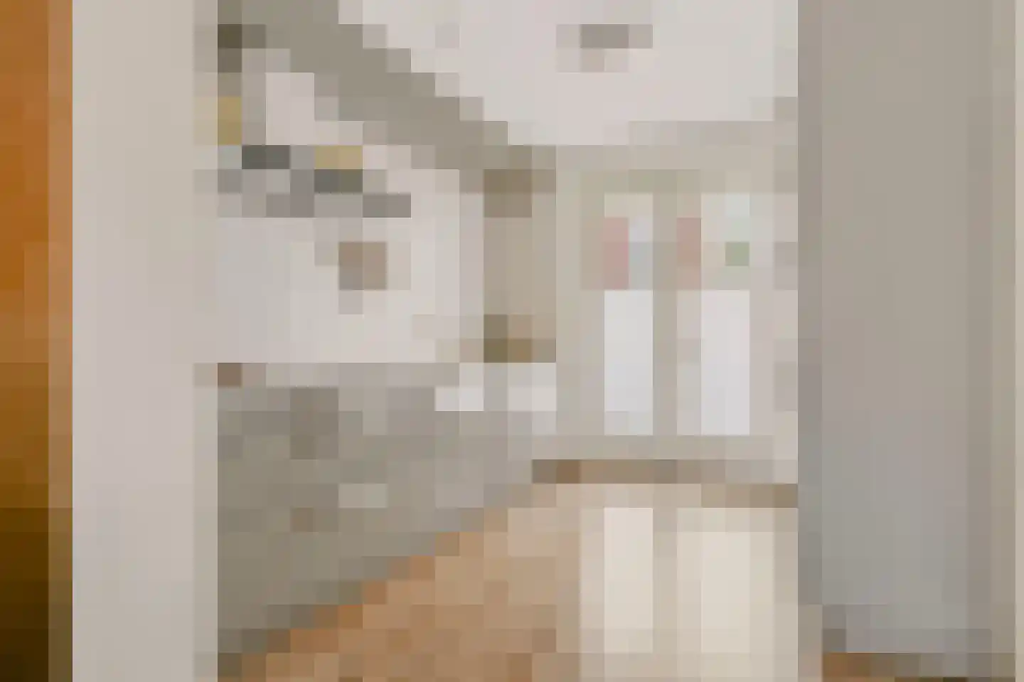 Bundelzwam 63 Vleuten thumbnail 8