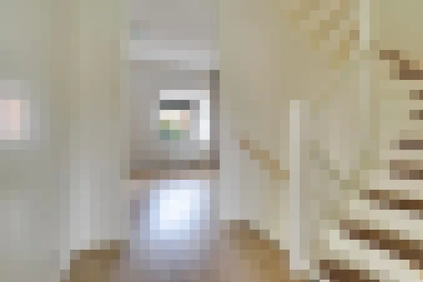 Bundelzwam 75 Vleuten thumbnail 12
