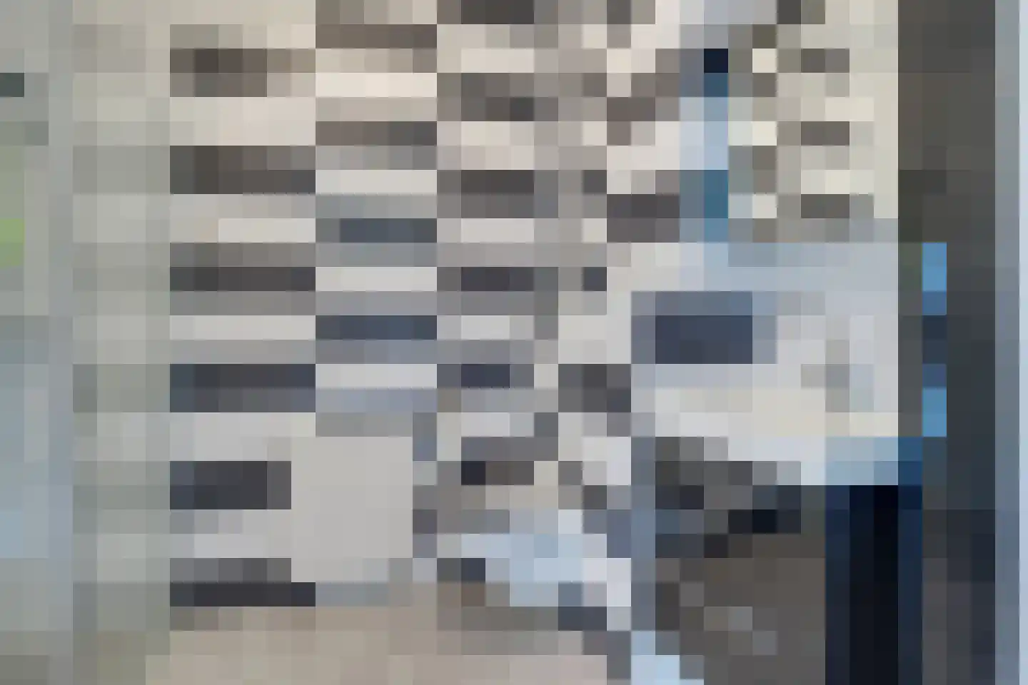 Bundelzwam 75 Vleuten thumbnail 19