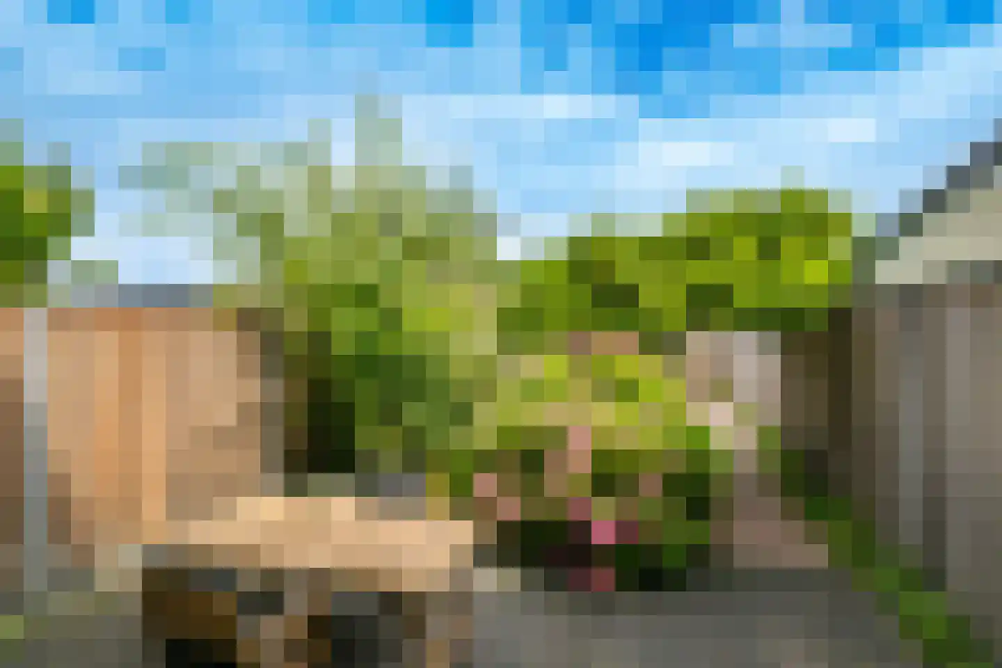 Bundelzwam 75 Vleuten thumbnail 31