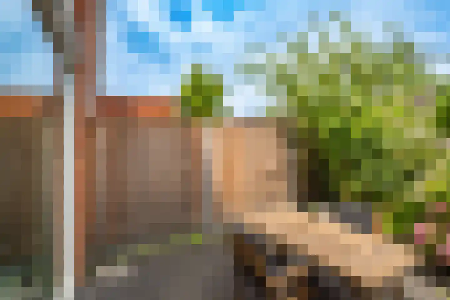 Bundelzwam 75 Vleuten thumbnail 32