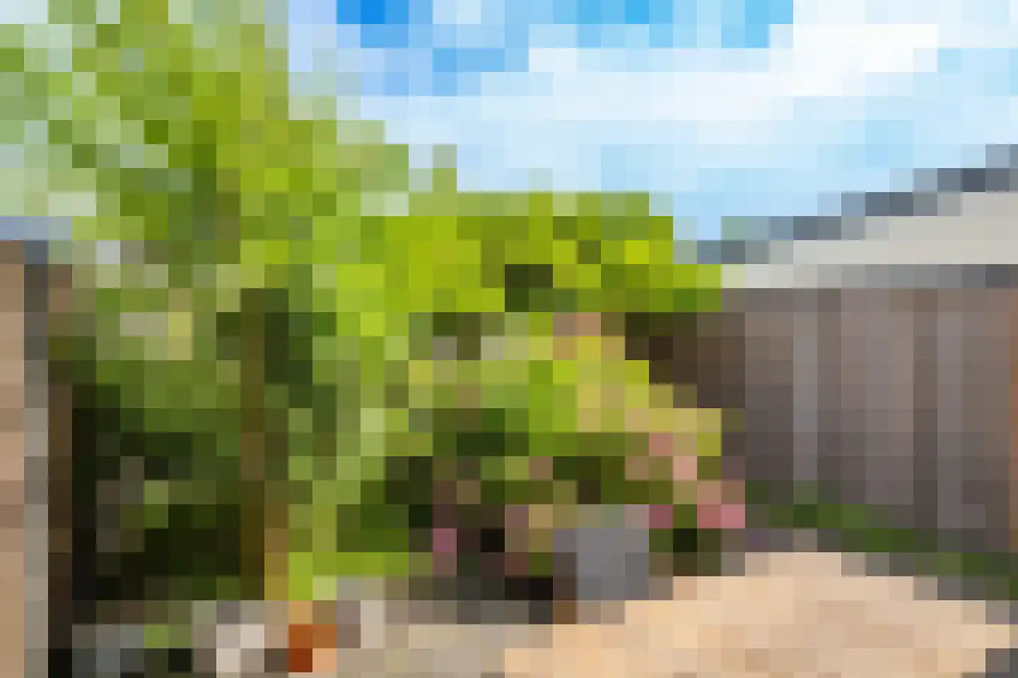 Bundelzwam 75 Vleuten thumbnail 33