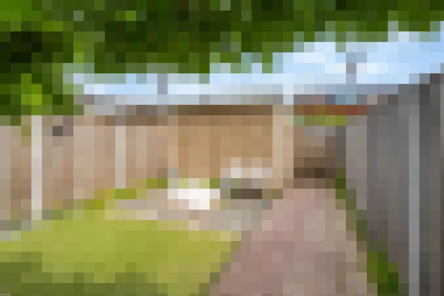 Bundelzwam 75 Vleuten thumbnail 34