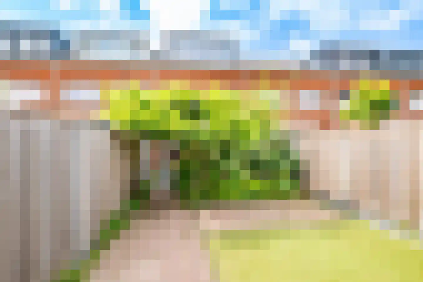 Bundelzwam 75 Vleuten thumbnail 35