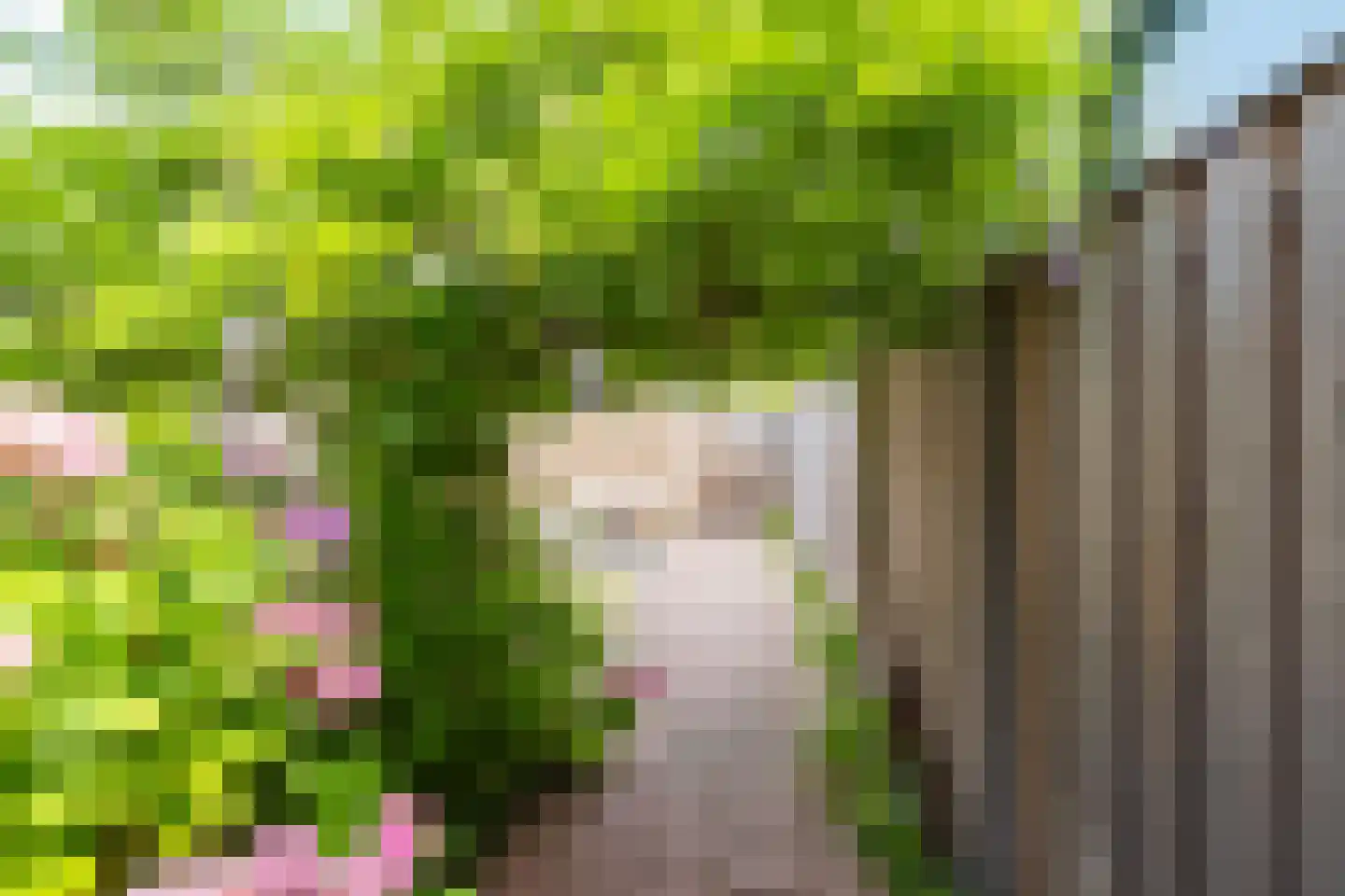 Bundelzwam 75 Vleuten thumbnail 36