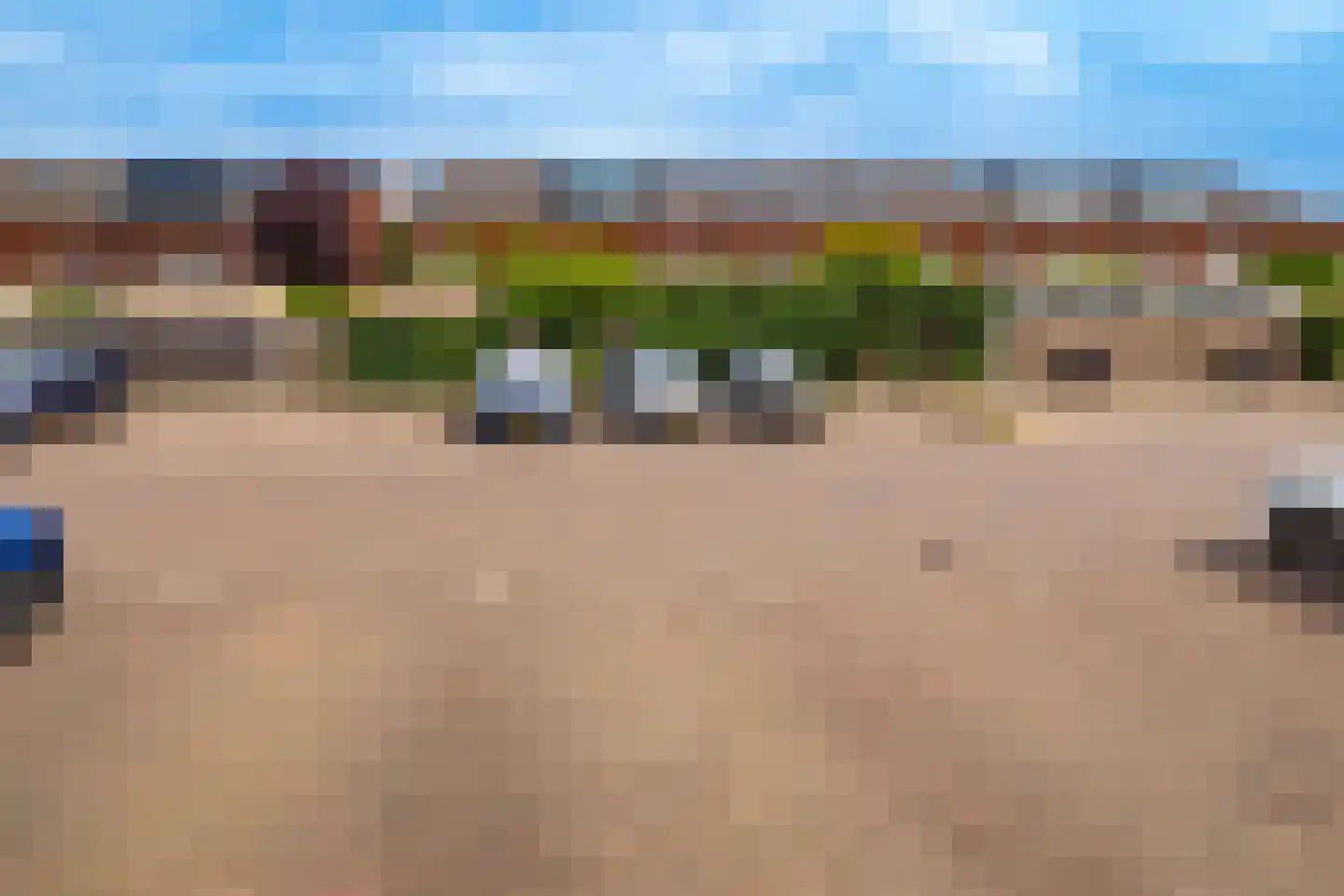 Bundelzwam 75 Vleuten thumbnail 39