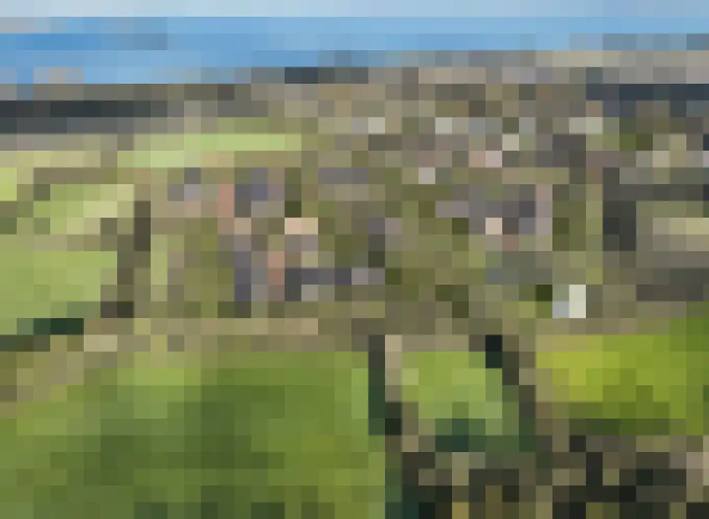 Bunder 14 Ermelo thumbnail 5