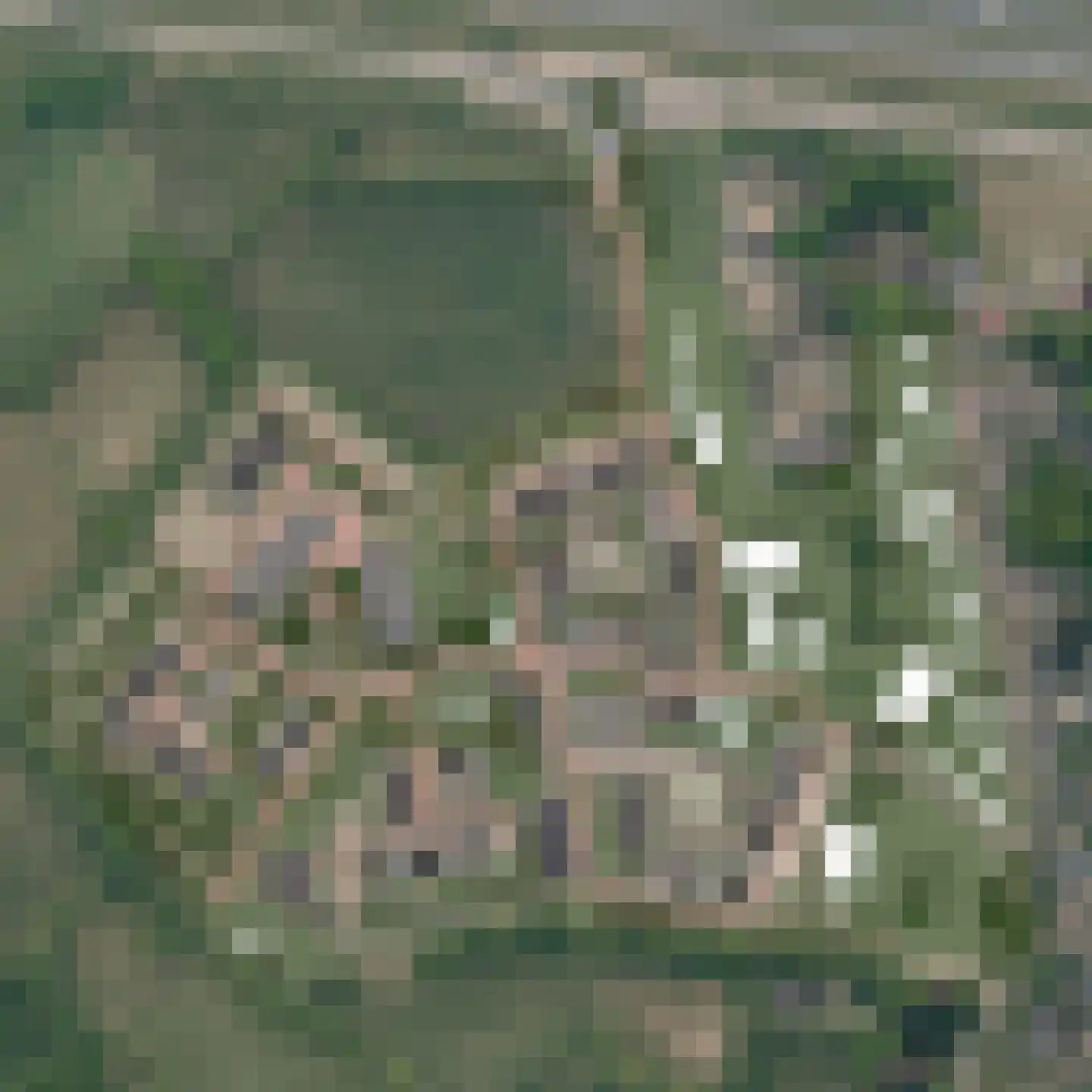 Bunder 14 Ermelo thumbnail 6