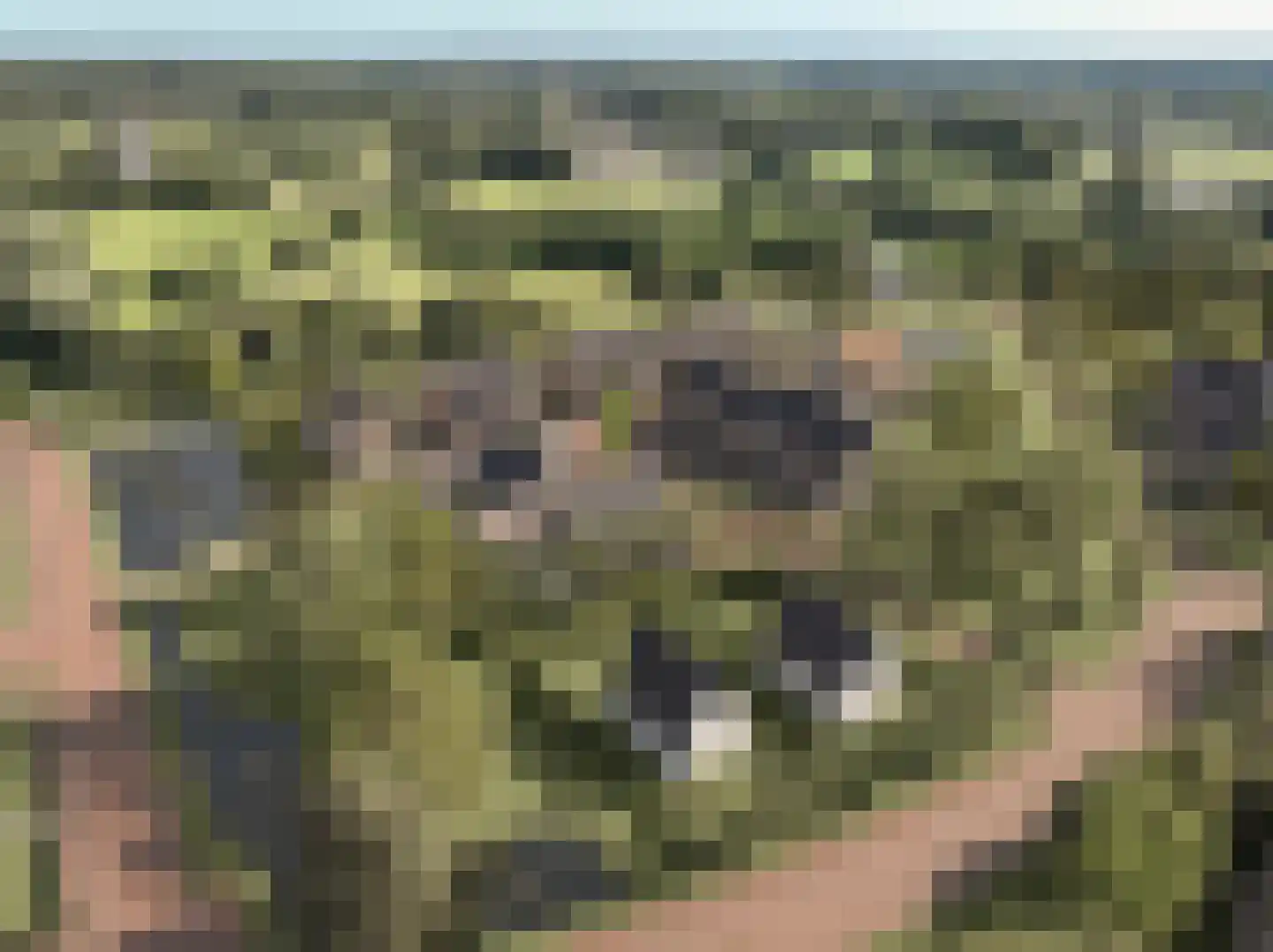 Bunder 14 Ermelo thumbnail 7