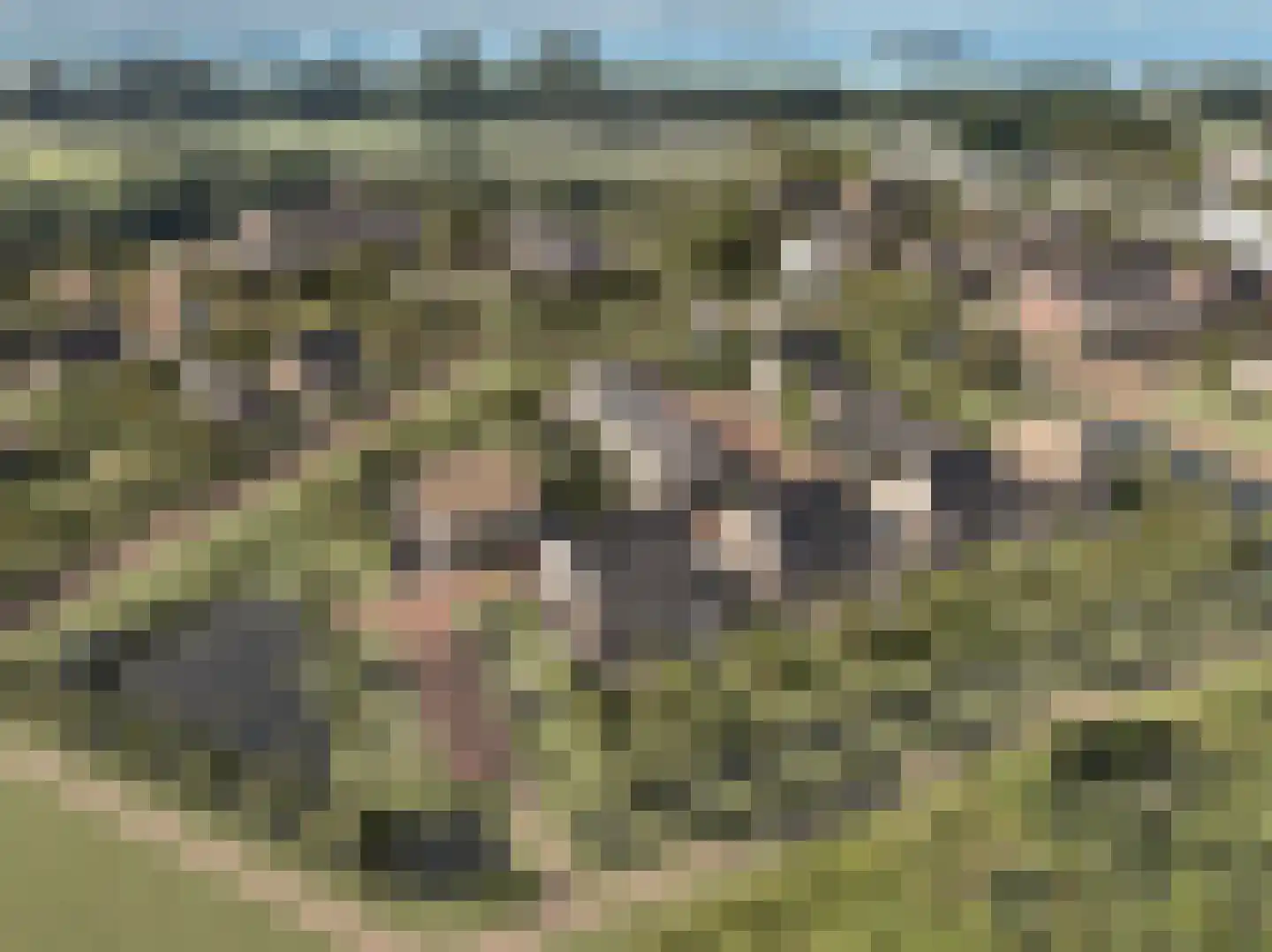 Bunder 14 Ermelo thumbnail 8