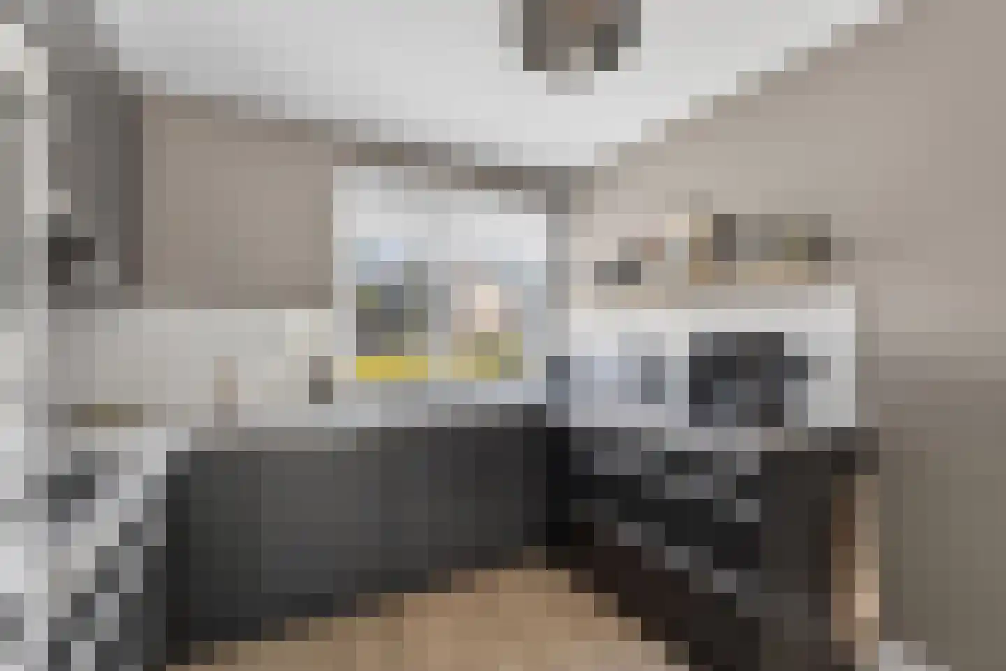 Bunder 20 Stompetoren thumbnail 10