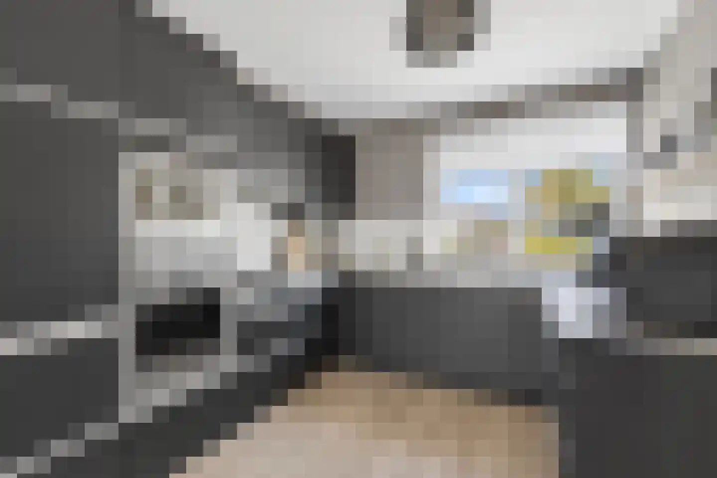 Bunder 20 Stompetoren thumbnail 11