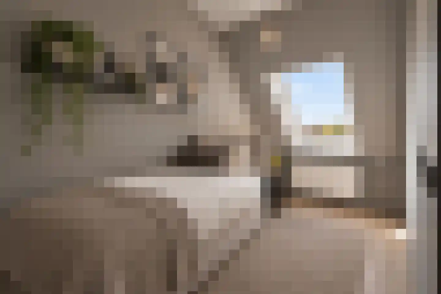 Bunder 20 Stompetoren thumbnail 21