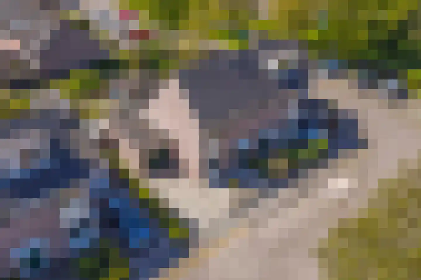 Bunder 20 Stompetoren thumbnail 35