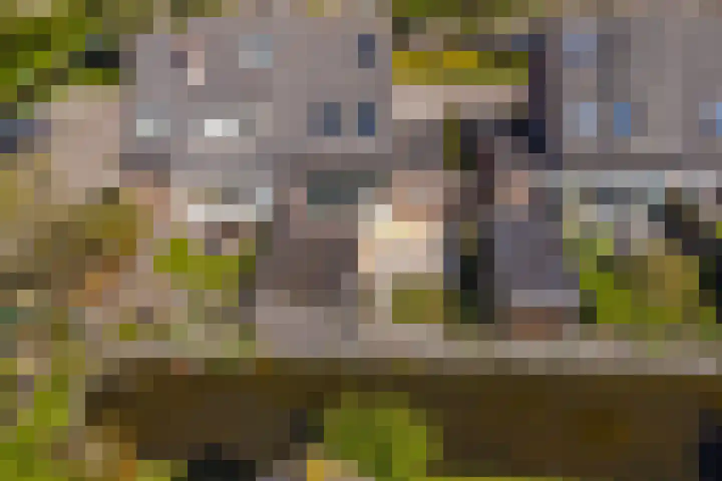 Bunder 20 Stompetoren thumbnail 36