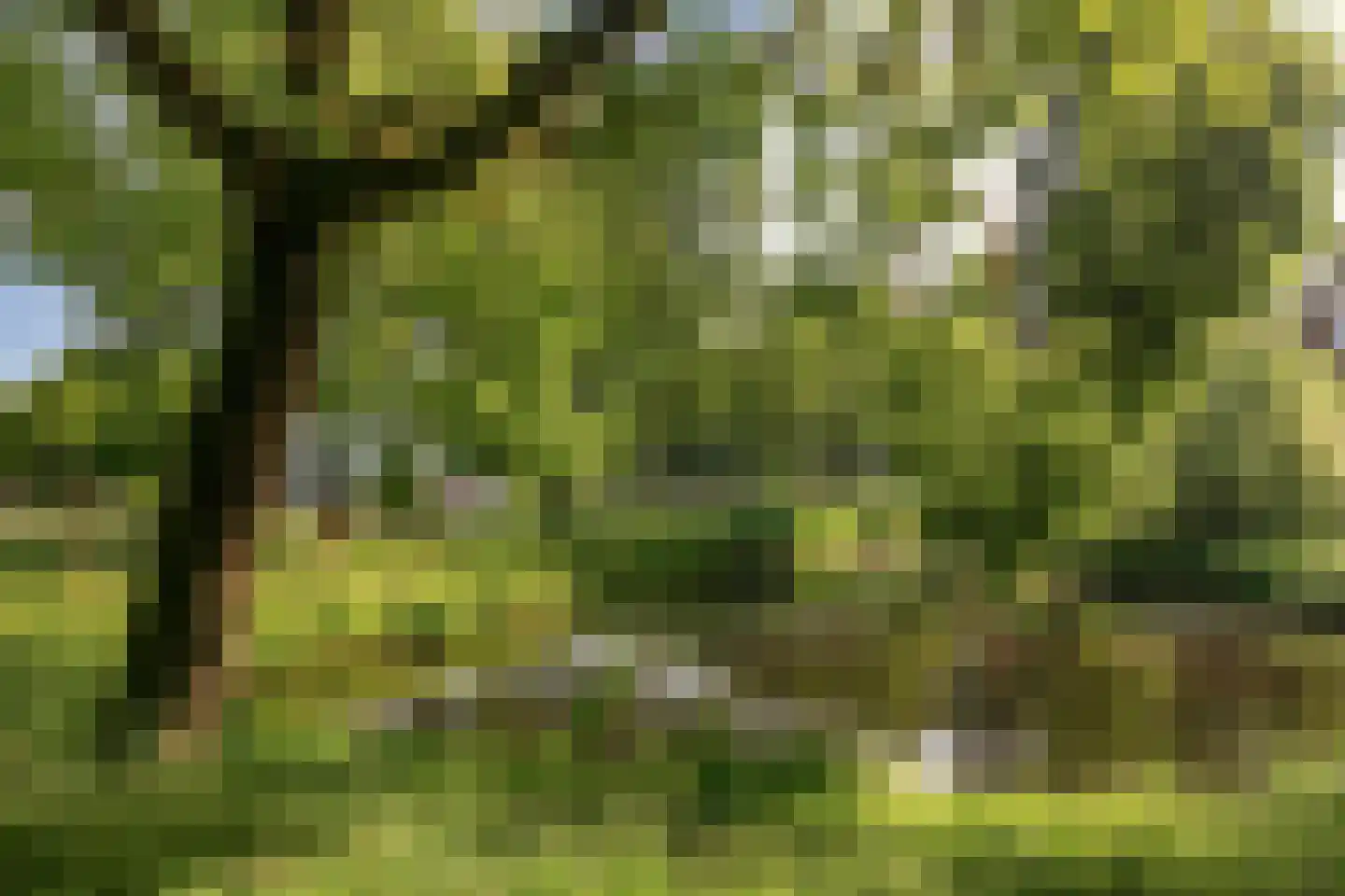 Bunder 39 Soest thumbnail 32