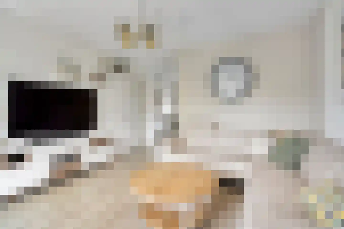 Bunder 39 Soest thumbnail 5