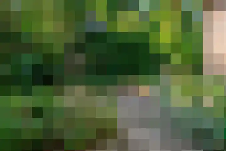 Bunder 6 Didam thumbnail 19