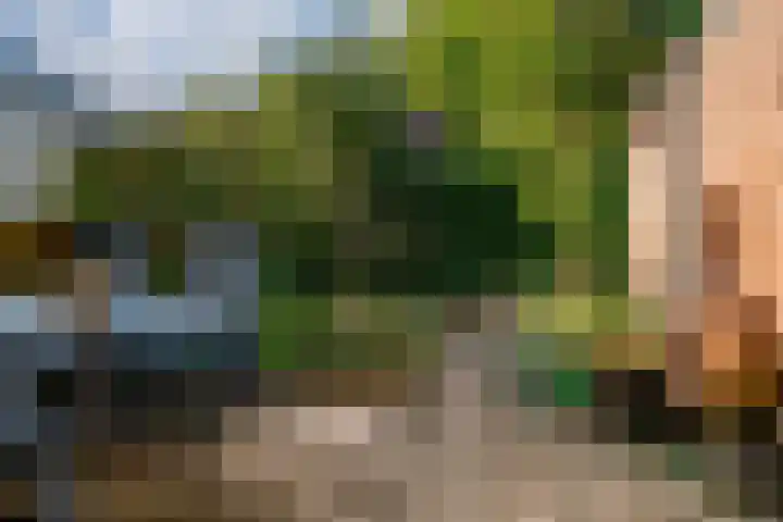 Bunder 6 Didam thumbnail 20