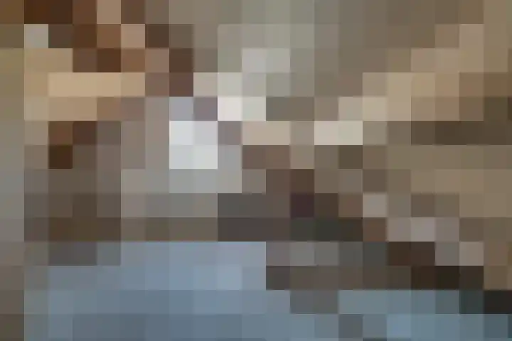 Bunder 6 Didam thumbnail 34