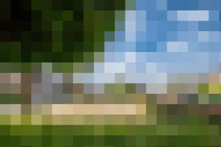 Bunder 6 Didam thumbnail 38