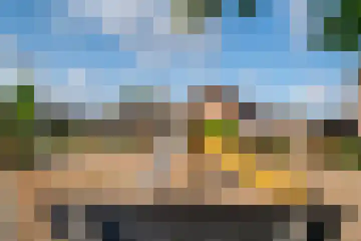 Bunder 6 Didam thumbnail 39