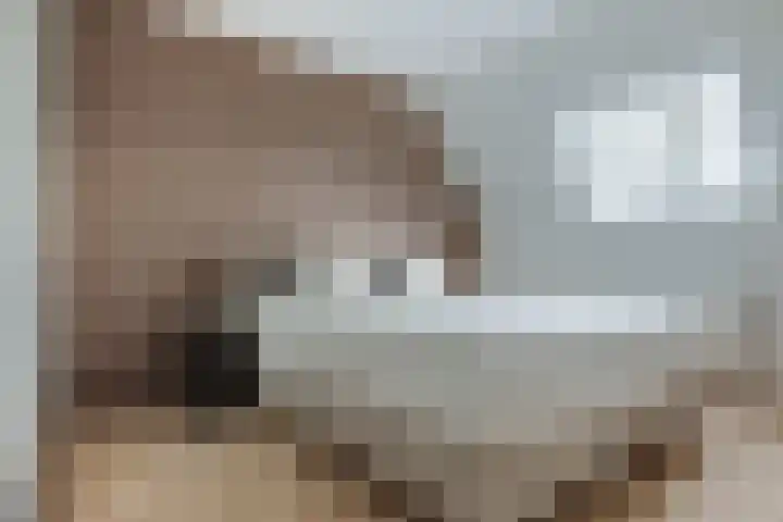 Bunderbos 108 Hoofddorp thumbnail 27