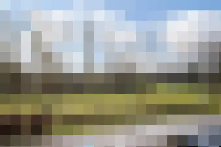 Bunderbos 108 Hoofddorp thumbnail 40