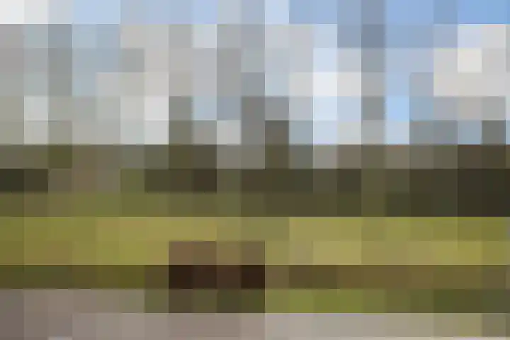 Bunderbos 108 Hoofddorp thumbnail 5
