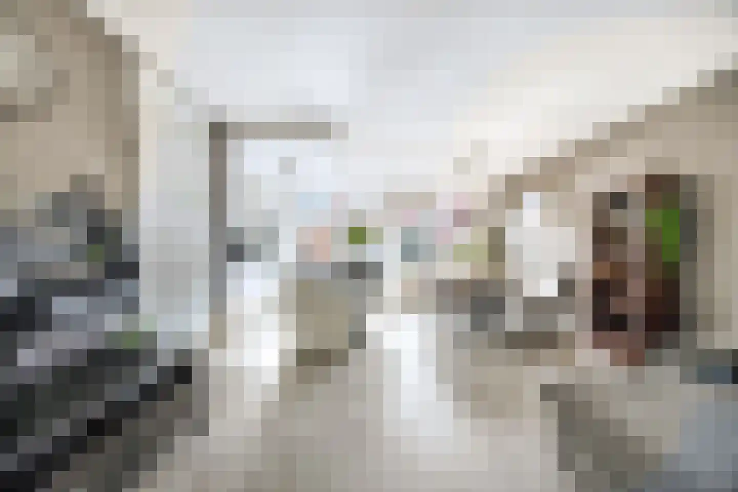 Bunderbos 128 Hoofddorp thumbnail 11