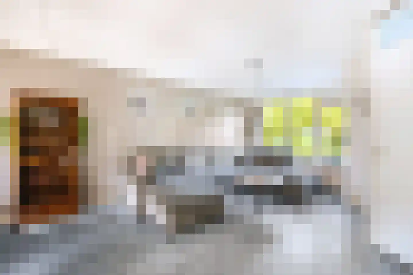 Bunderbos 128 Hoofddorp thumbnail 12