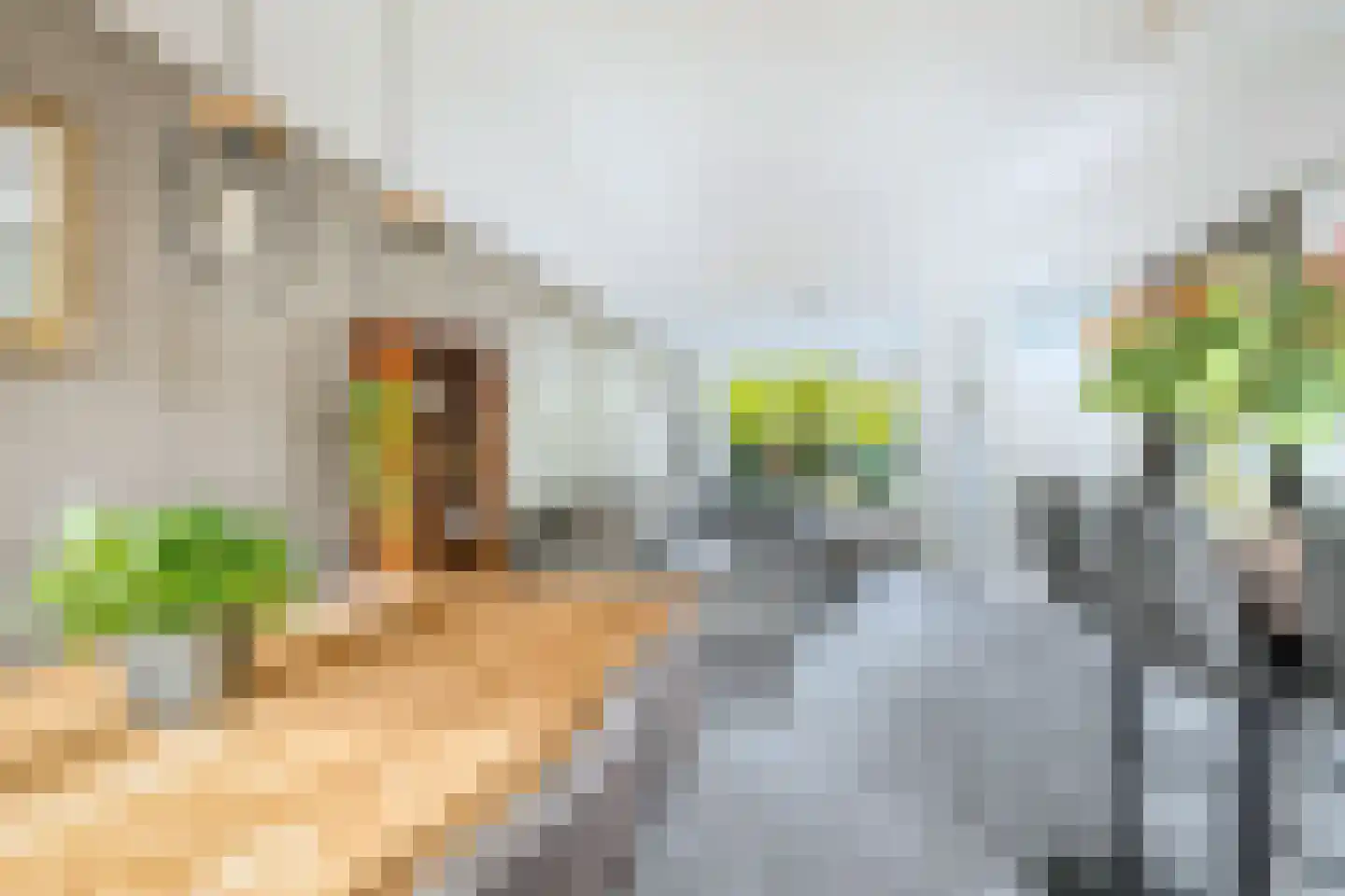 Bunderbos 128 Hoofddorp thumbnail 16