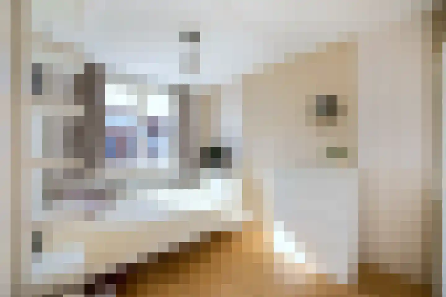 Bunderbos 128 Hoofddorp thumbnail 29