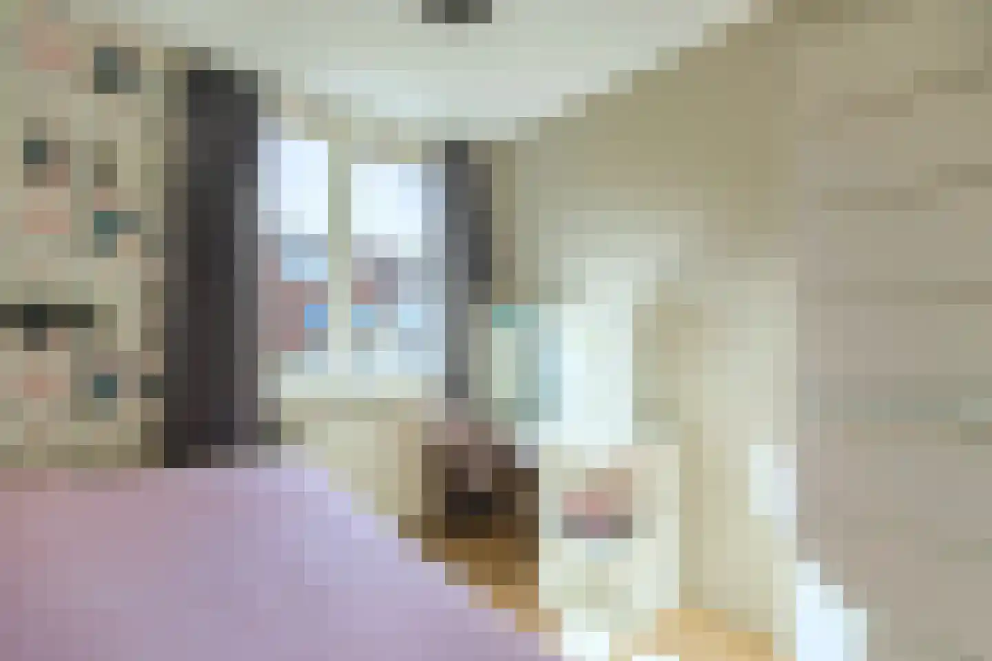 Bunderbos 128 Hoofddorp thumbnail 33